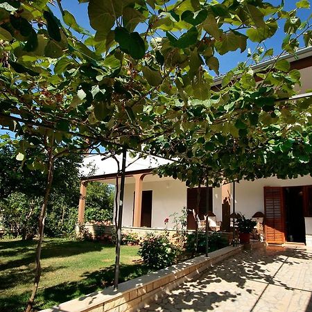 Apartment Kazalac Green Oasis Poreč Zewnętrze zdjęcie